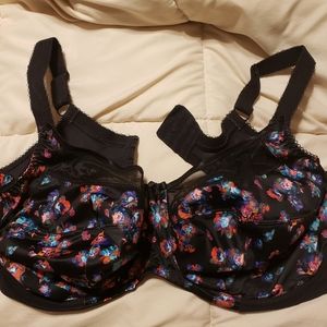 Goddess Kayla 40h size bra